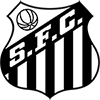 camiseta Santos FC